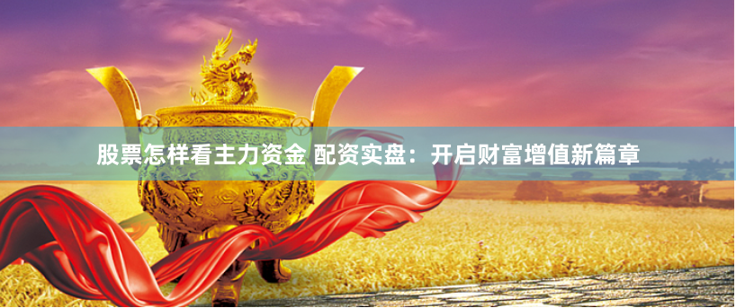 股票怎样看主力资金 配资实盘：开启财富增值新篇章