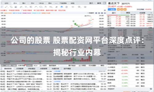 公司的股票 股票配资网平台深度点评：揭秘行业内幕