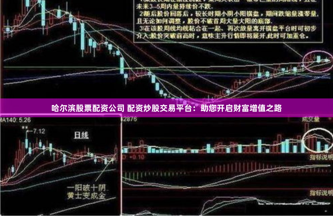哈尔滨股票配资公司 配资炒股交易平台：助您开启财富增值之路